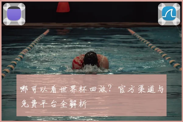 哪可以看世界杯回放？官方渠道与免费平台全解析