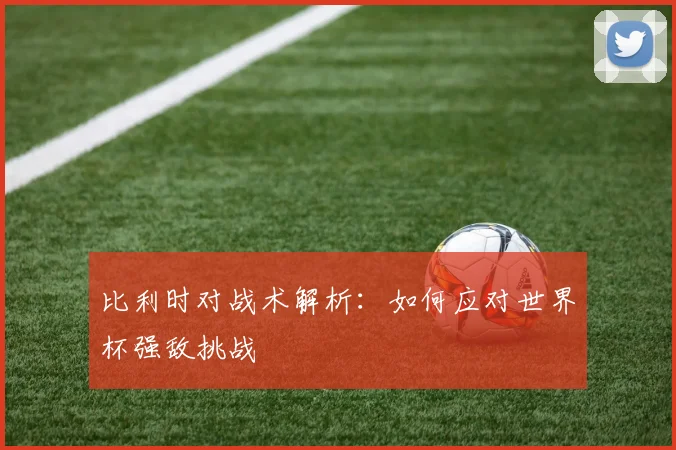 比利时对战术解析：如何应对世界杯强敌挑战