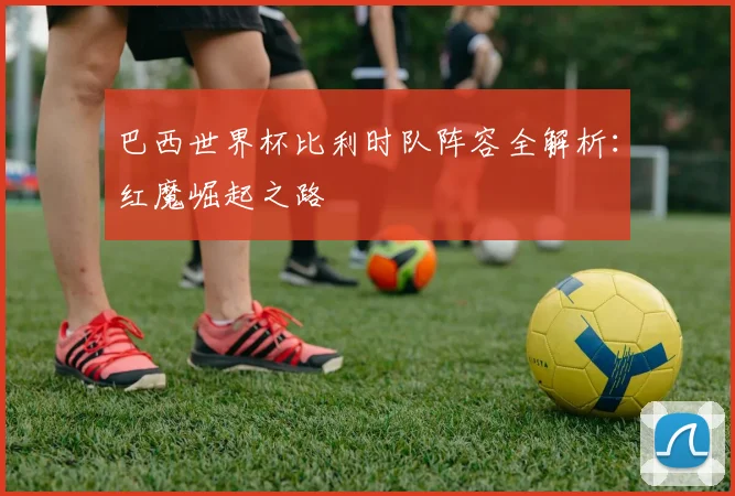 巴西世界杯比利时队阵容全解析：红魔崛起之路