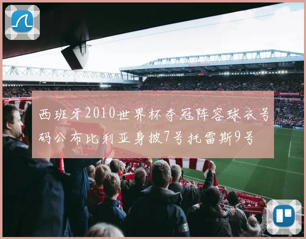 西班牙2010世界杯夺冠阵容球衣号码公布比利亚身披7号托雷斯9号
