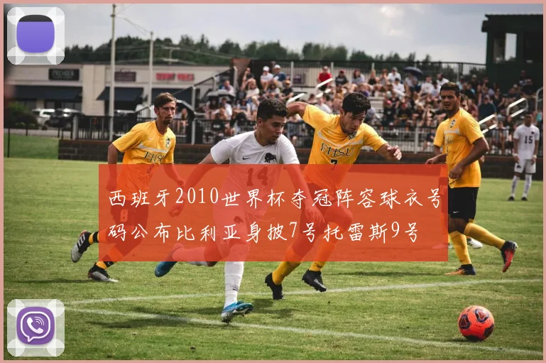 西班牙2010世界杯夺冠阵容球衣号码公布比利亚身披7号托雷斯9号