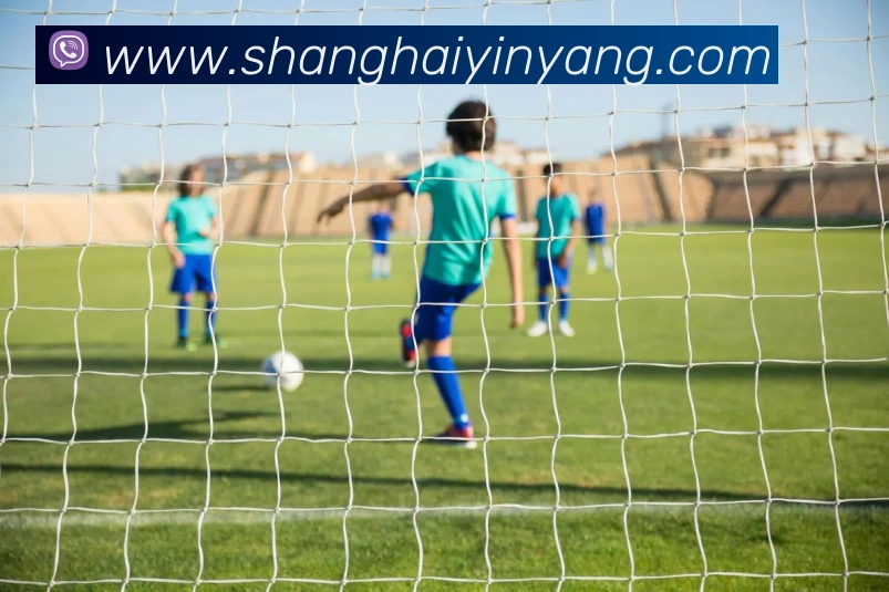 湖人vs太阳全场回放免费观看：附赛后采访与精彩点评